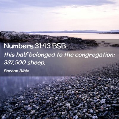 Picture 02 - Numbers 31:43 BSB - this half belonged to the congregation: 337,500 - Bible Verse Picture
