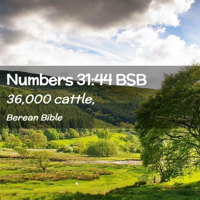 Picture 02 - Numbers 31:44 BSB - 36,000 - Bible Verse Picture