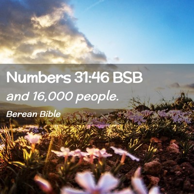 Picture 02 - Numbers 31:46 BSB - and 16,000 - Bible Verse Picture