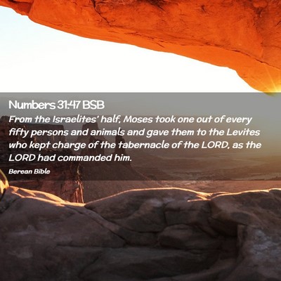 Picture 02 - Numbers 31:47 BSB - From the Israelites’ half, Moses took one out - Bible Verse Picture