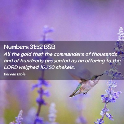 Picture 02 - Numbers 31:52 BSB - All the gold that the commanders of thousands and - Bible Verse Picture