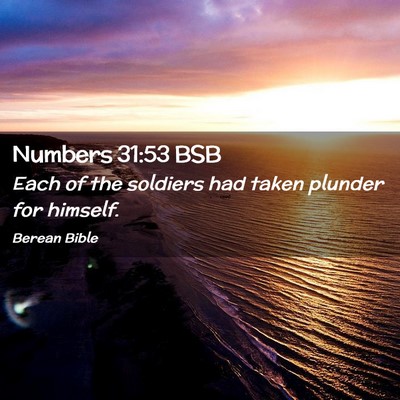 Picture 02 - Numbers 31:53 BSB - Each of the soldiers had taken plunder for - Bible Verse Picture