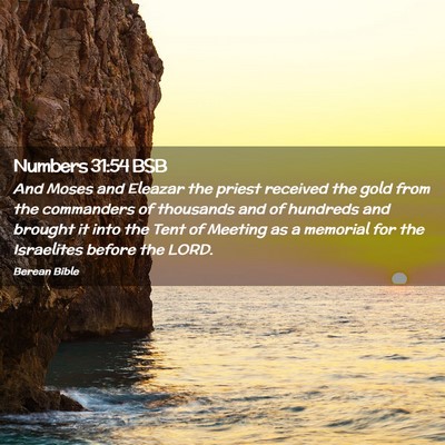Picture 02 - Numbers 31:54 BSB - And Moses and Eleazar the priest received the - Bible Verse Picture