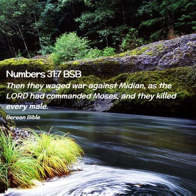 Picture 02 - Numbers 31:7 BSB - Then they waged war against Midian, as the LORD - Bible Verse Picture