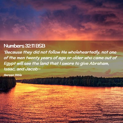 Picture 02 - Numbers 32:11 BSB - ‘Because they did not follow Me wholeheartedly, - Bible Verse Picture