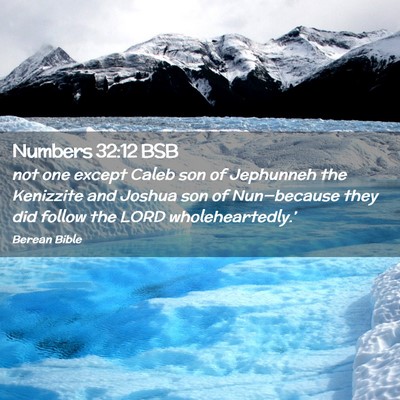 Picture 02 - Numbers 32:12 BSB - not one except Caleb son of Jephunneh the - Bible Verse Picture