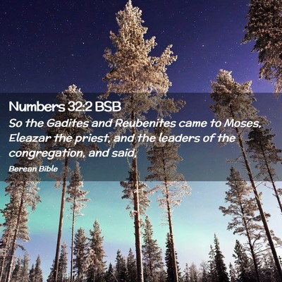 Picture 02 - Numbers 32:2 BSB - So the Gadites and Reubenites came to Moses, - Bible Verse Picture