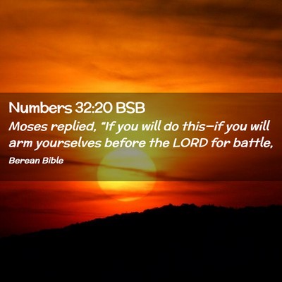 Picture 02 - Numbers 32:20 BSB - Moses replied, “If you will do this—if you - Bible Verse Picture