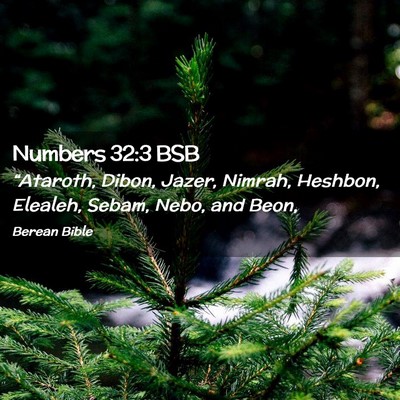Picture 02 - Numbers 32:3 BSB - “Ataroth, Dibon, Jazer, Nimrah, Heshbon, - Bible Verse Picture
