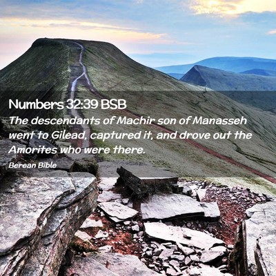 Picture 02 - Numbers 32:39 BSB - The descendants of Machir son of Manasseh went to - Bible Verse Picture