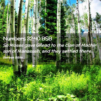 Picture 02 - Numbers 32:40 BSB - So Moses gave Gilead to the clan of Machir son of - Bible Verse Picture