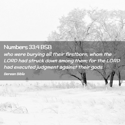 Picture 02 - Numbers 33:4 BSB - who were burying all their firstborn, whom the - Bible Verse Picture