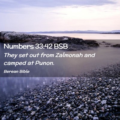 Picture 02 - Numbers 33:42 BSB - They set out from Zalmonah and camped at - Bible Verse Picture