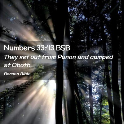 Picture 02 - Numbers 33:43 BSB - They set out from Punon and camped at - Bible Verse Picture