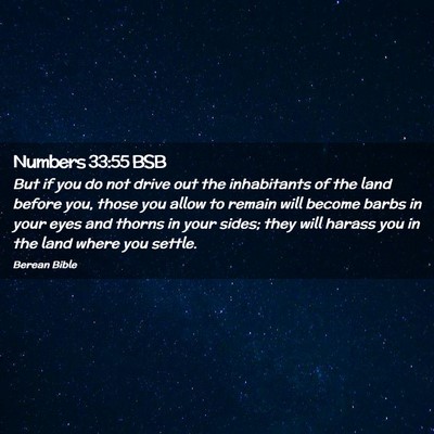 Picture 02 - Numbers 33:55 BSB - But if you do not drive out the inhabitants of - Bible Verse Picture