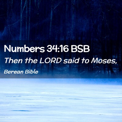 Picture 02 - Numbers 34:16 BSB - Then the LORD said to - Bible Verse Picture