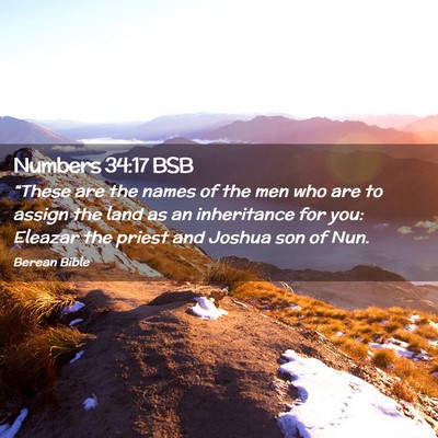 Picture 02 - Numbers 34:17 BSB - “These are the names of the men who are to - Bible Verse Picture
