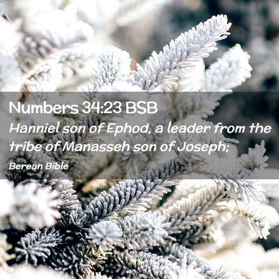 Picture 02 - Numbers 34:23 BSB - Hanniel son of Ephod, a leader from the tribe of - Bible Verse Picture