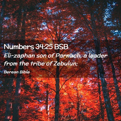 Picture 02 - Numbers 34:25 BSB - Eli-zaphan son of Parnach, a leader from the - Bible Verse Picture
