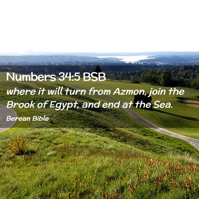 Picture 02 - Numbers 34:5 BSB - where it will turn from Azmon, join the Brook of - Bible Verse Picture