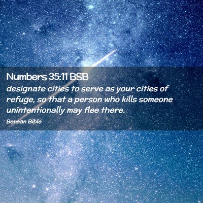 Picture 02 - Numbers 35:11 BSB - designate cities to serve as your cities of - Bible Verse Picture