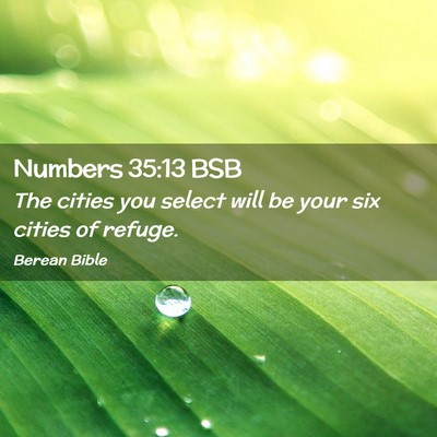 Picture 02 - Numbers 35:13 BSB - The cities you select will be your six cities of - Bible Verse Picture