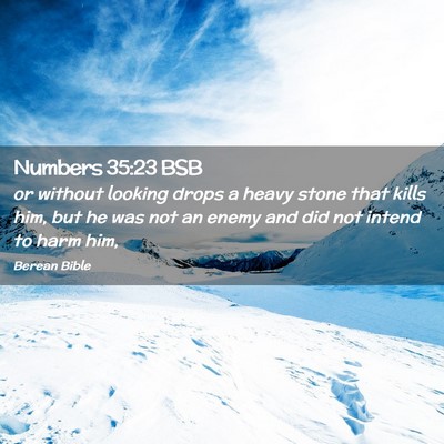 Picture 02 - Numbers 35:23 BSB - or without looking drops a heavy stone that kills - Bible Verse Picture