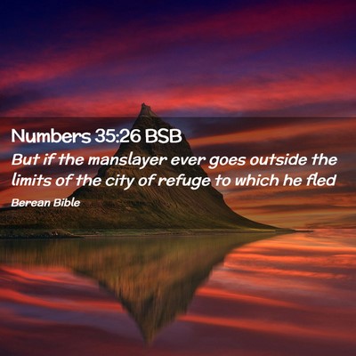 Picture 02 - Numbers 35:26 BSB - But if the manslayer ever goes outside the limits - Bible Verse Picture