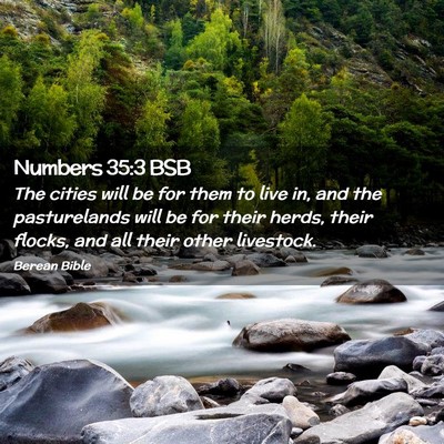 Picture 02 - Numbers 35:3 BSB - The cities will be for them to live in, and the - Bible Verse Picture