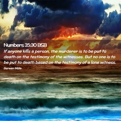 Picture 02 - Numbers 35:30 BSB - If anyone kills a person, the murderer is to be - Bible Verse Picture