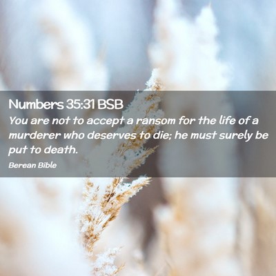 Picture 02 - Numbers 35:31 BSB - You are not to accept a ransom for the life of a - Bible Verse Picture