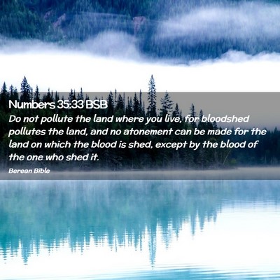 Picture 02 - Numbers 35:33 BSB - Do not pollute the land where you live, for - Bible Verse Picture