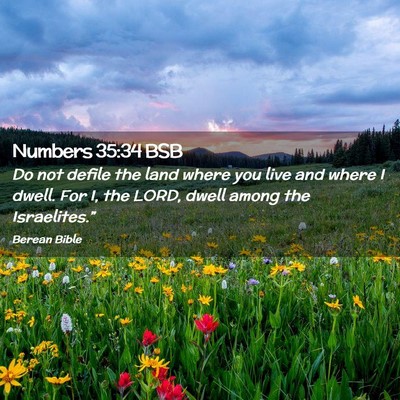 Picture 02 - Numbers 35:34 BSB - Do not defile the land where you live and where I - Bible Verse Picture