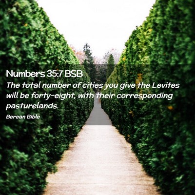 Picture 02 - Numbers 35:7 BSB - The total number of cities you give the Levites - Bible Verse Picture