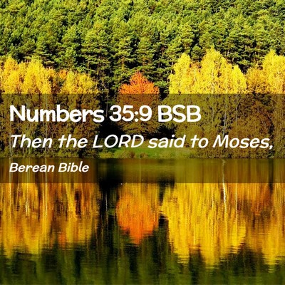 Picture 02 - Numbers 35:9 BSB - Then the LORD said to - Bible Verse Picture