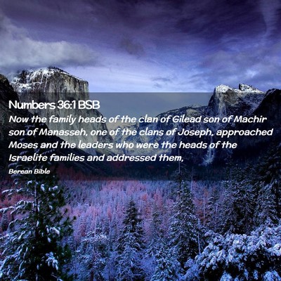 Picture 02 - Numbers 36:1 BSB - Now the family heads of the clan of Gilead son of - Bible Verse Picture
