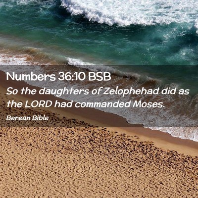 Picture 02 - Numbers 36:10 BSB - So the daughters of Zelophehad did as the LORD - Bible Verse Picture