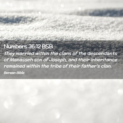 Picture 02 - Numbers 36:12 BSB - They married within the clans of the descendants - Bible Verse Picture