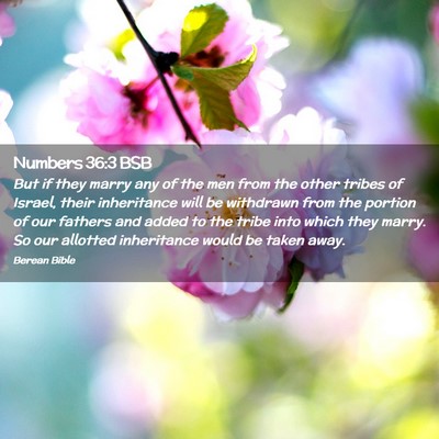 Picture 02 - Numbers 36:3 BSB - But if they marry any of the men from the other - Bible Verse Picture