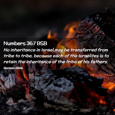 Picture 02 - Numbers 36:7 BSB - No inheritance in Israel may be transferred from - Bible Verse Picture