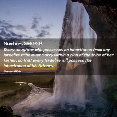 Picture 02 - Numbers 36:8 BSB - Every daughter who possesses an inheritance from - Bible Verse Picture