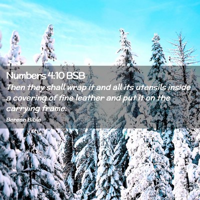 Picture 02 - Numbers 4:10 BSB - Then they shall wrap it and all its utensils - Bible Verse Picture