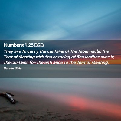 Picture 02 - Numbers 4:25 BSB - They are to carry the curtains of the tabernacle, - Bible Verse Picture