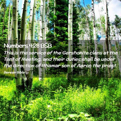 Picture 02 - Numbers 4:28 BSB - This is the service of the Gershonite clans at - Bible Verse Picture