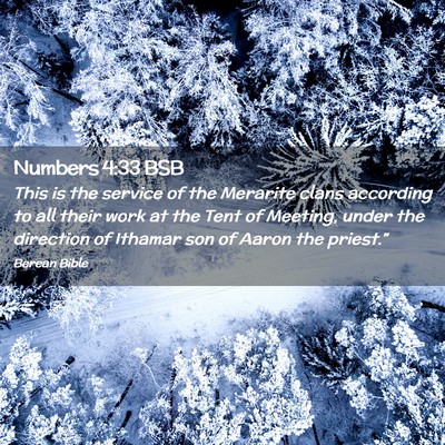 Picture 02 - Numbers 4:33 BSB - This is the service of the Merarite clans - Bible Verse Picture