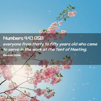 Picture 02 - Numbers 4:43 BSB - everyone from thirty to fifty years old who came - Bible Verse Picture