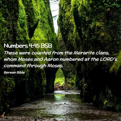 Picture 02 - Numbers 4:45 BSB - These were counted from the Merarite clans, whom - Bible Verse Picture