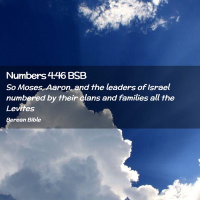 Picture 02 - Numbers 4:46 BSB - So Moses, Aaron, and the leaders of Israel - Bible Verse Picture