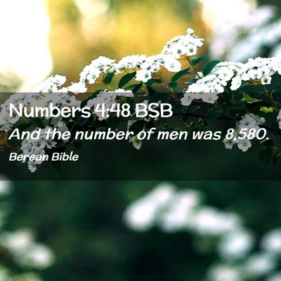 Picture 02 - Numbers 4:48 BSB - And the number of men was - Bible Verse Picture