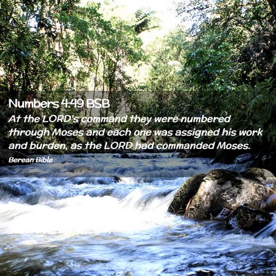 Picture 02 - Numbers 4:49 BSB - At the LORD’s command they were numbered - Bible Verse Picture